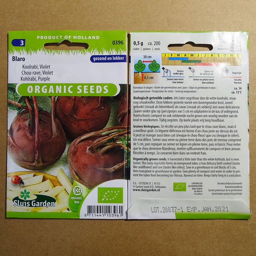Example of Purple Kohlrabi Blaro per pack of 200 seeds specimen as delivered