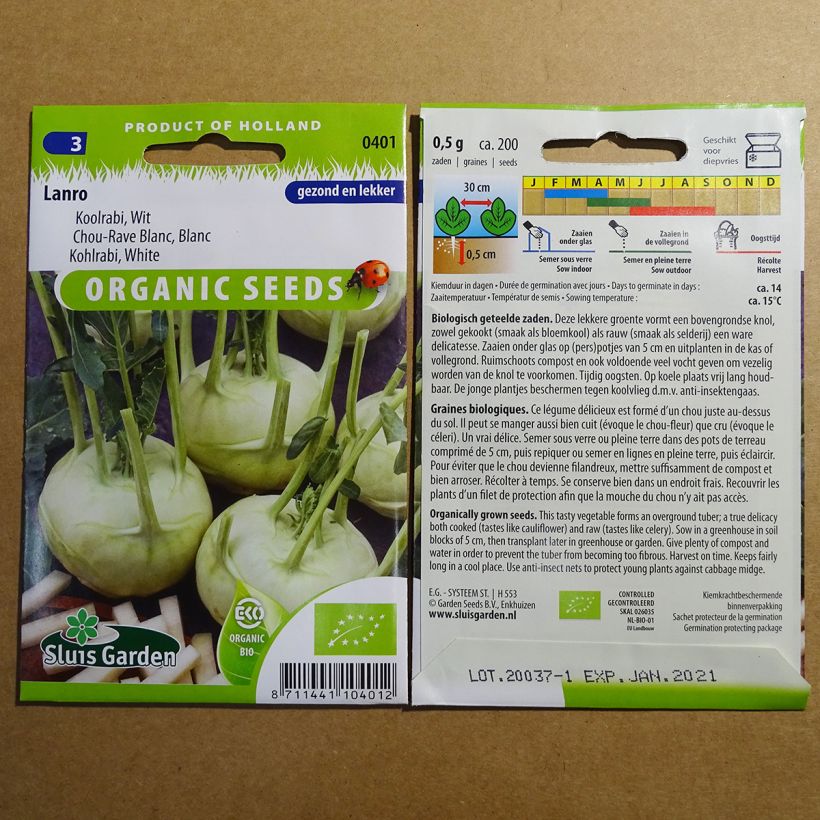 Example of Kohlrabi Lanro per pack of 200 seeds specimen as delivered