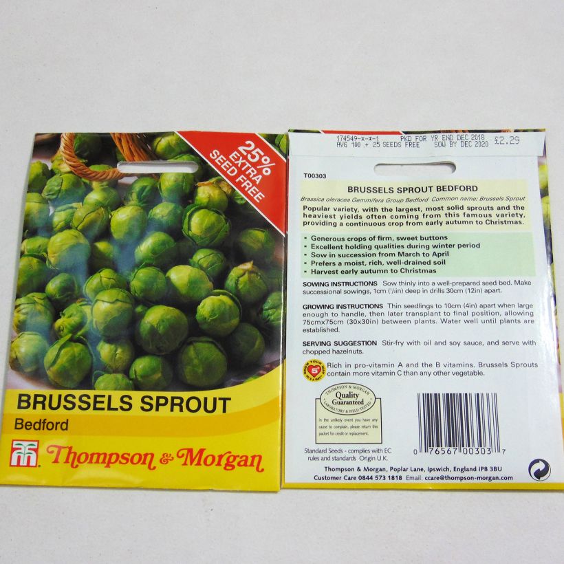 Example of Brussels Sprout Bedford - Brassica oleracea gemmifera per pack of 100 seeds specimen as delivered