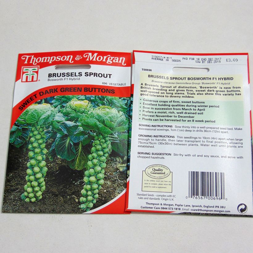 Example of Brussels Sprout Bosworth F1 - Brassica oleracea gemmifera per pack of 30 seeds specimen as delivered