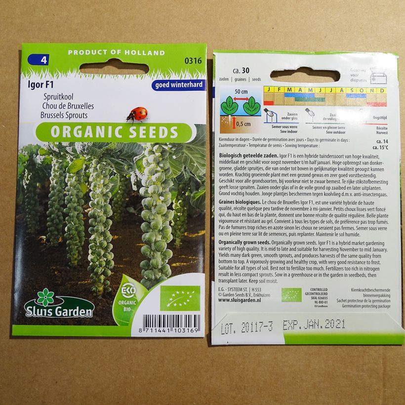 Example of Brussels sprouts Igor F1 Organic per pack of 30 seeds specimen as delivered