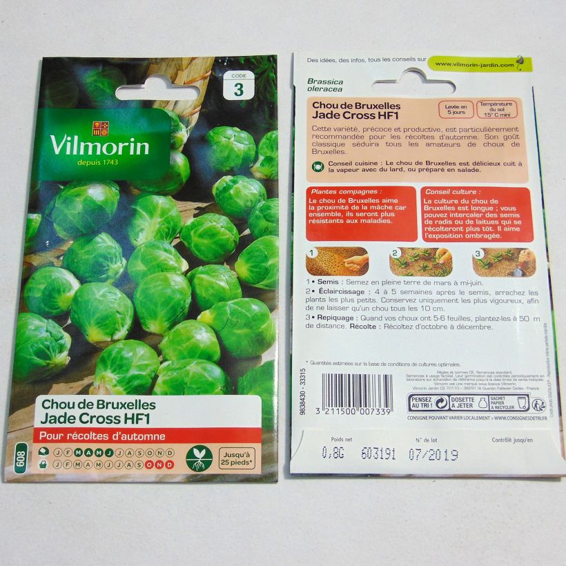 Example of Brussels sprouts Jade Cross F1 - Vilmorin Seeds per pack of 325 seeds (0.8g) specimen as delivered