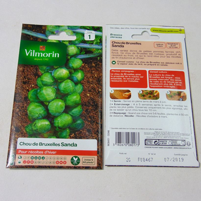 Example of Brussels sprouts Sanda - Vilmorin Seeds per pack of 800 seeds (2g) specimen as delivered
