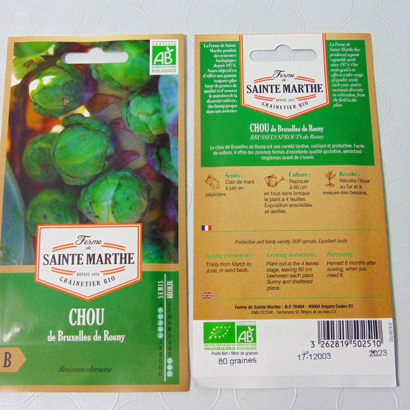 Example of Brussels sprouts De Rosny - La Ferme de Sainte Marthe Seeds specimen as delivered