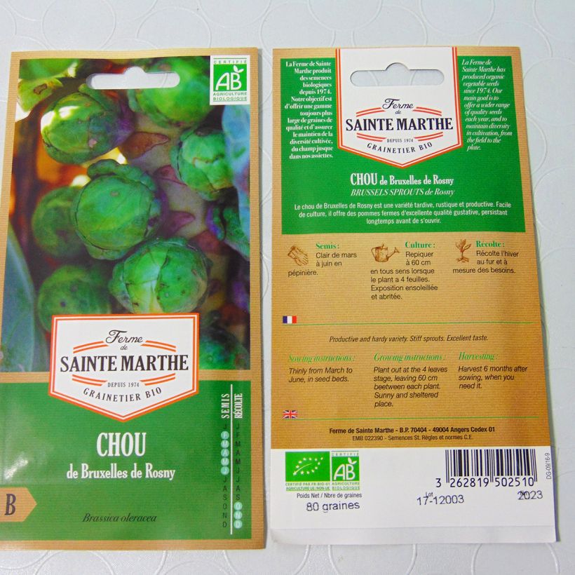 Example of Brussels sprouts De Rosny - La Ferme de Sainte Marthe Seeds per pack of 80 seeds specimen as delivered