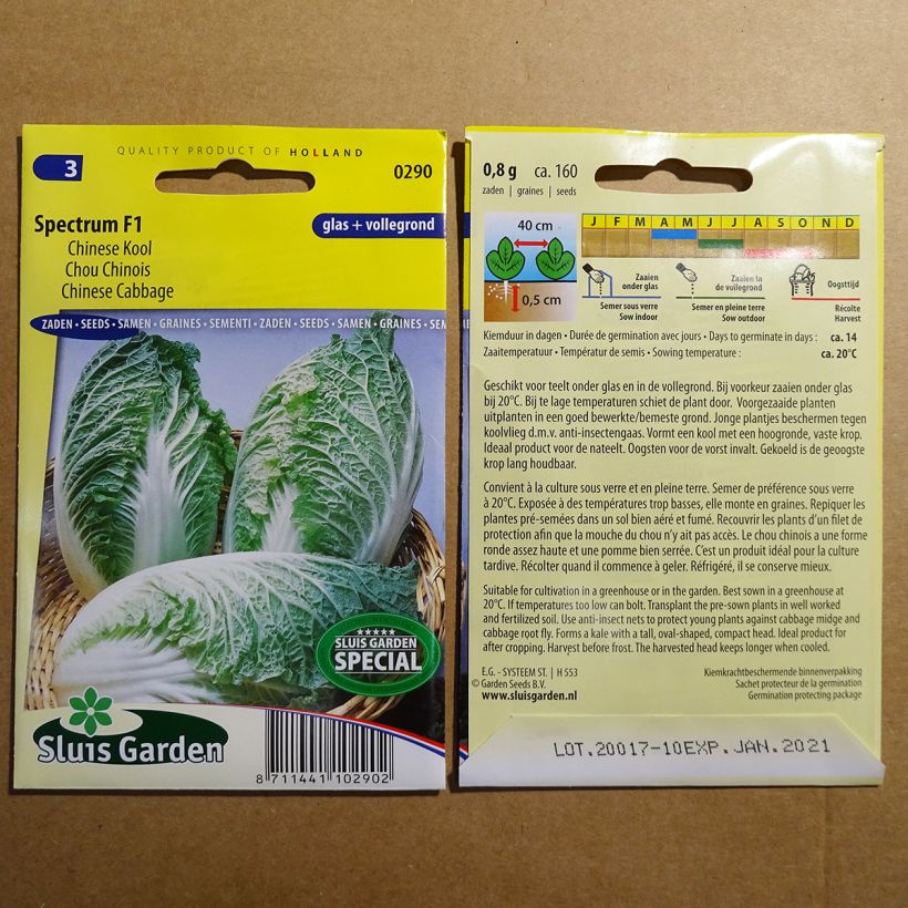 Example of Napa Cabbage Spectrum F1 - Pe-Tsai per pack of 160 seeds specimen as delivered