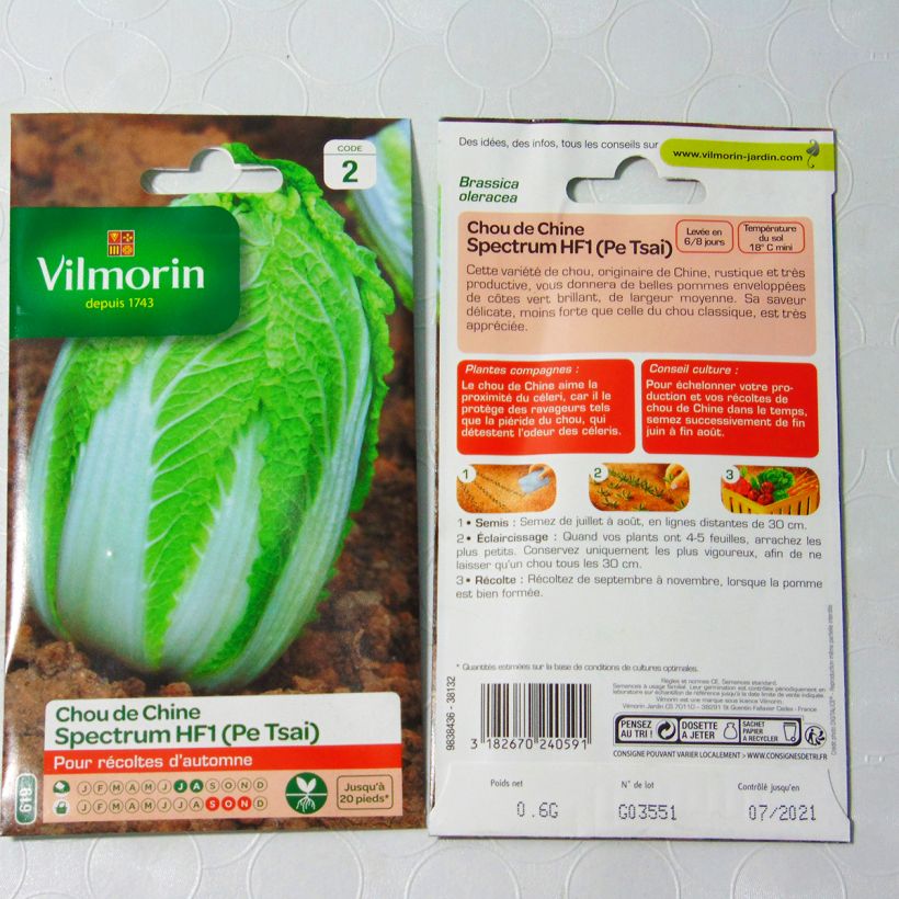Example of Napa Cabbage Spectrum F1 - Vilmorin Seeds Seeds specimen as delivered