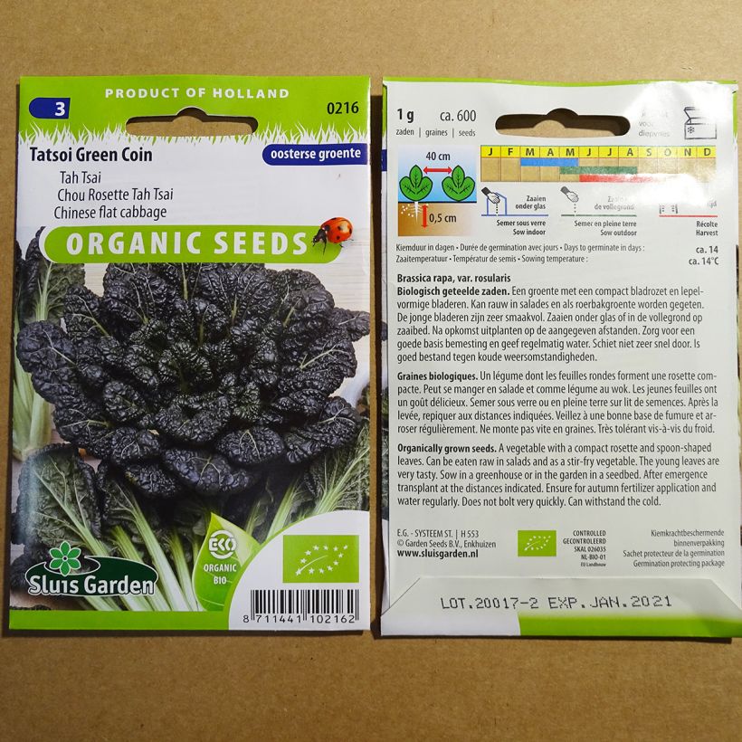 Example of Chinese Cabbage Tah Tsai - Brassica napa narinosa per pack of 400 seeds (1g) specimen as delivered