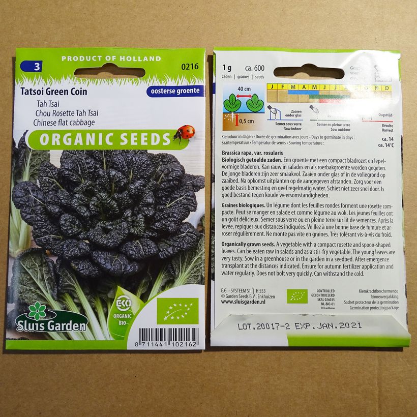 Example of Tatsoi Green Coin - Chinese flat cabbage per pack of 600 seeds (1g) specimen as delivered