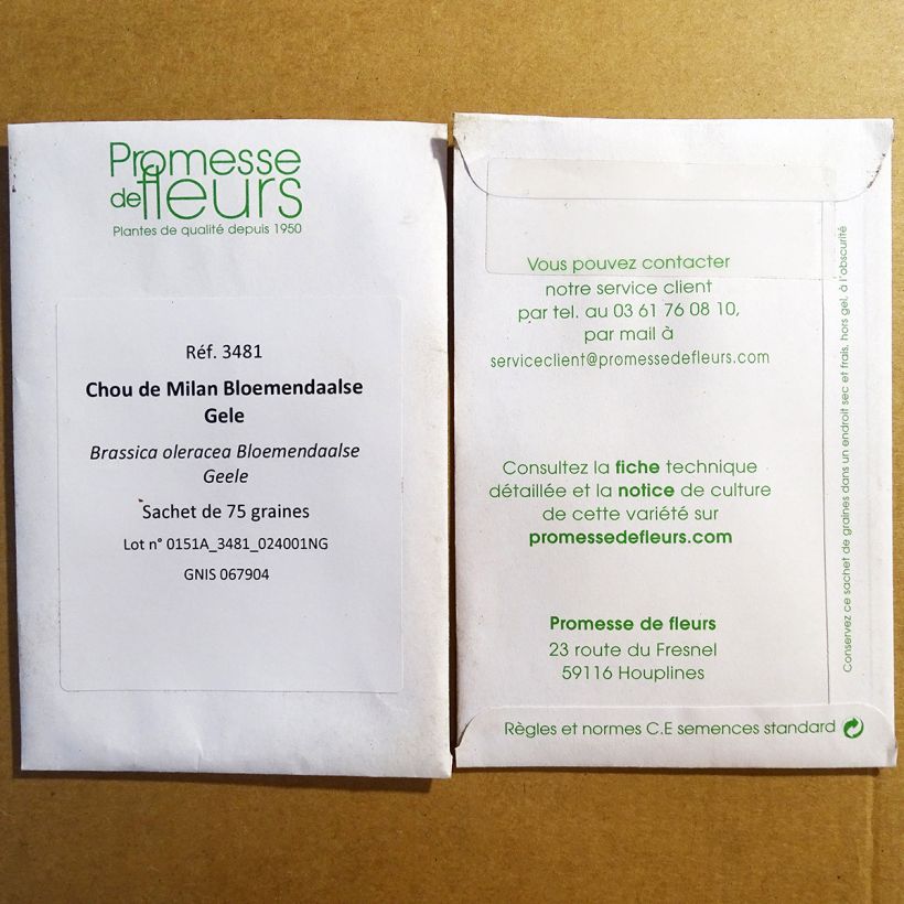 Example of Savoy Cabbage Bloemendaalse Gele per pack of 75 seeds specimen as delivered