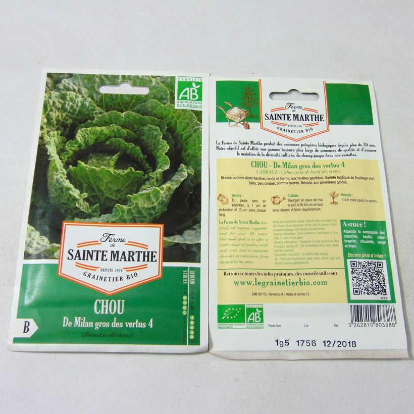 Example of Savoy Cabbage Gros des Vertus 4 - Ferme de Sainte Marthe Seeds per pack of 500 seeds (2g) specimen as delivered