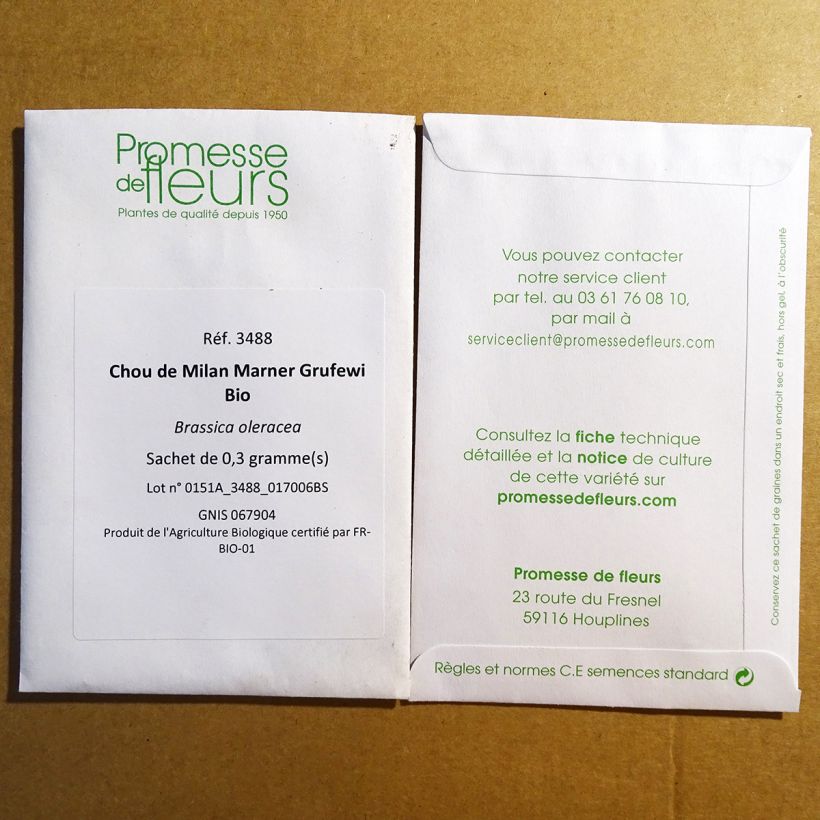 Example of Savoy Cabbage Marner Grufewi per pack of 50 seeds specimen as delivered