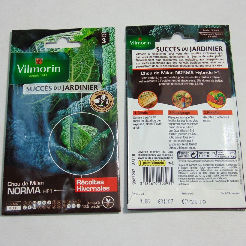Example of Savoy Cabbage Norma F1 - Vilmorin Seeds Seeds specimen as delivered