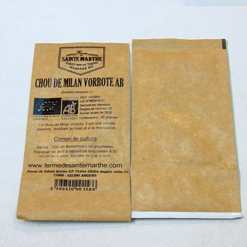 Example of Savoy Cabbage Vorbote 3 - Ferme de Sainte Marthe Seeds per pack of 80 seeds specimen as delivered