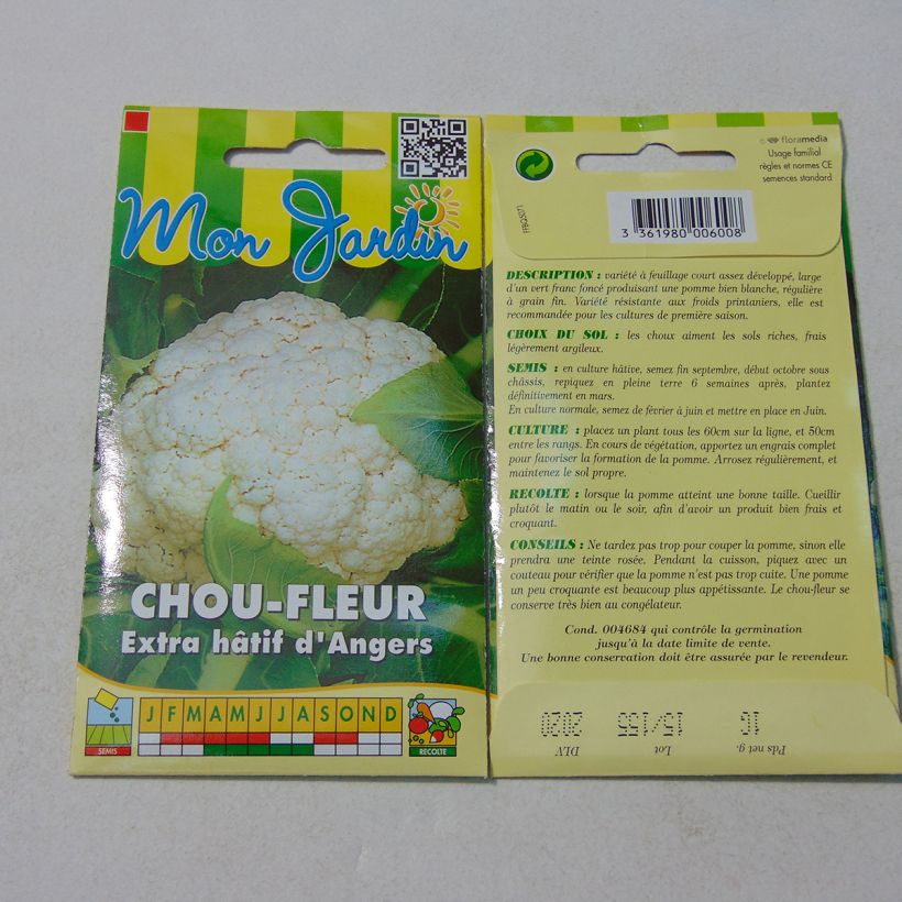Example of Cauliflower Extra-Early of Angers - Brassica oleracea per pack of 100 seeds (1g) specimen as delivered