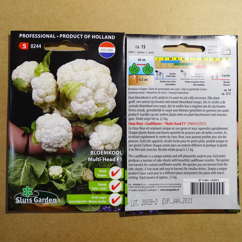 Example of Cauliflower Multi-head F1 per pack of 15 seeds specimen as delivered