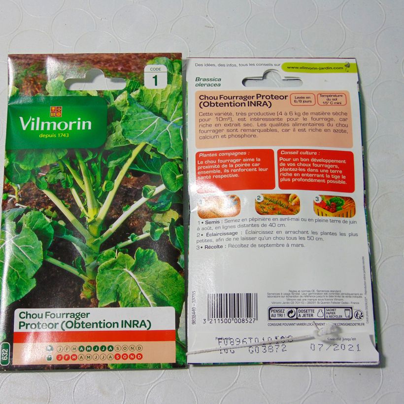 Example of Fodder cabbage Proteor - Vilmorin Seeds specimen as delivered