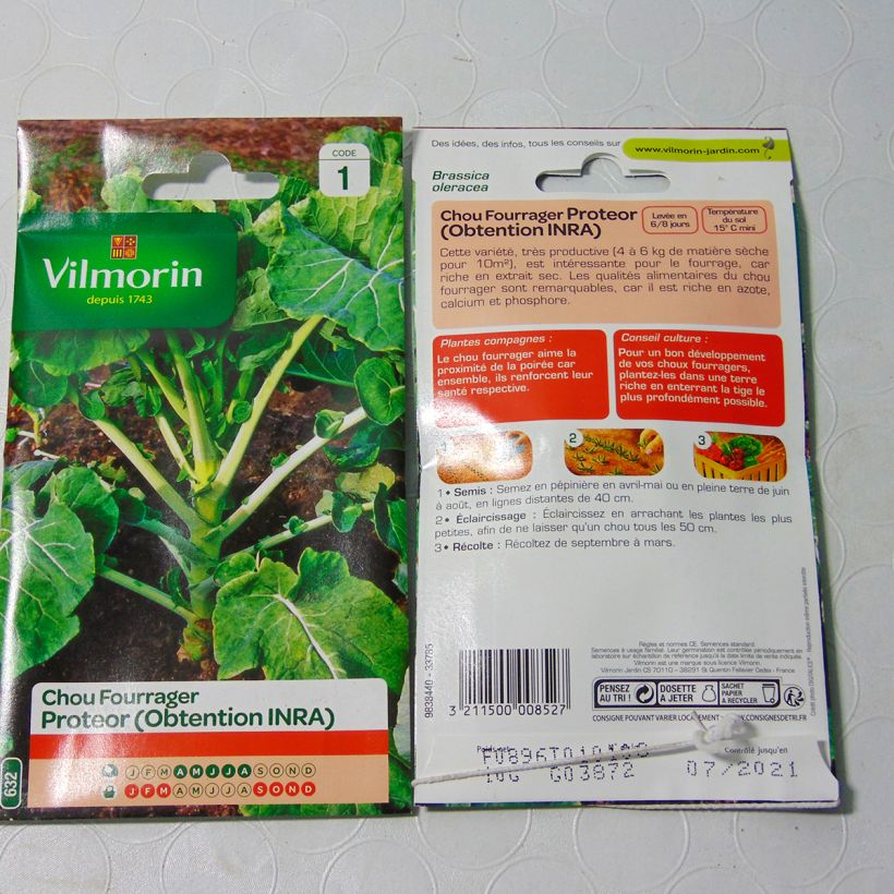 Example of Fodder cabbage Proteor - Vilmorin Seeds per pack of 4000 seeds (10g) specimen as delivered