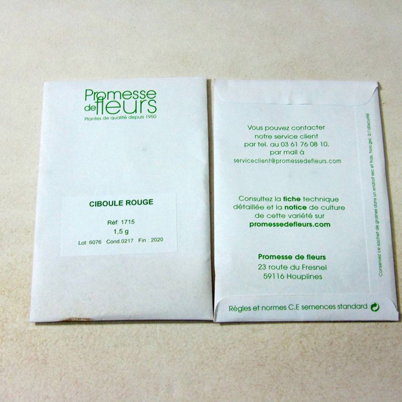 Example of Common red chive - Allium fistulosum per pack of 600 seeds (1,5g) specimen as delivered