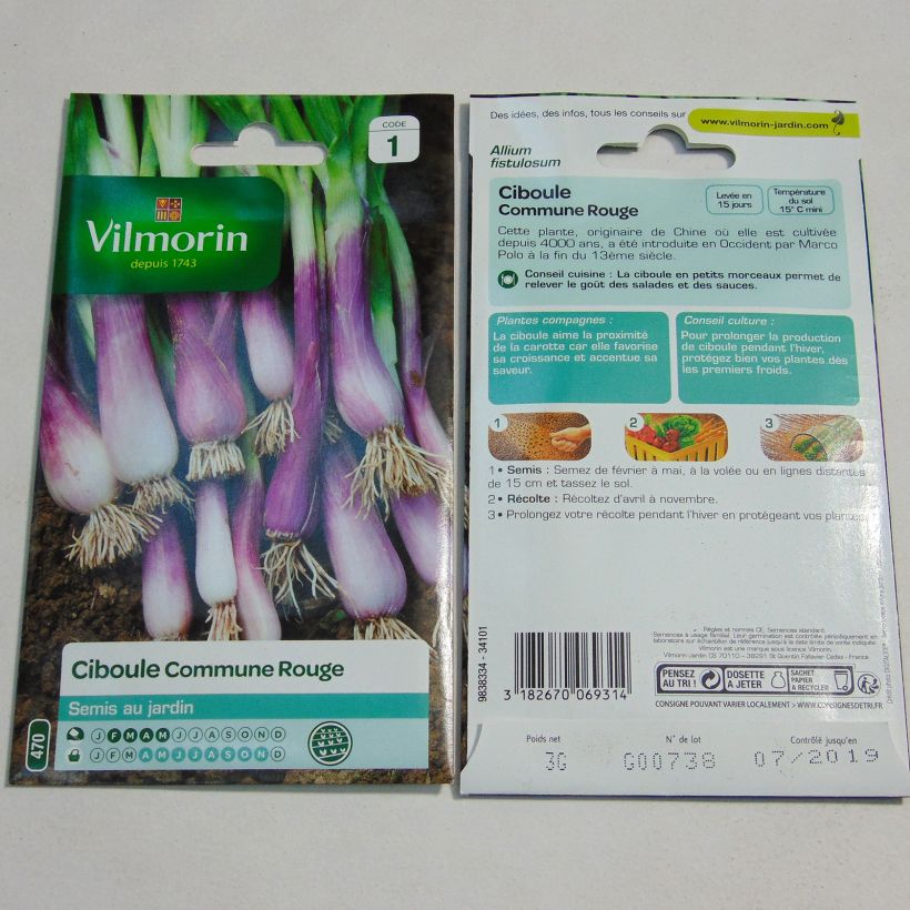 Example of Red Scallion - Vilmorin Seeds per pack of 1400 seeds (3g) specimen as delivered