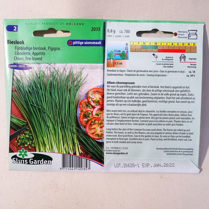 Example of Chives Fine-Leaved per pack of 700 seeds specimen as delivered