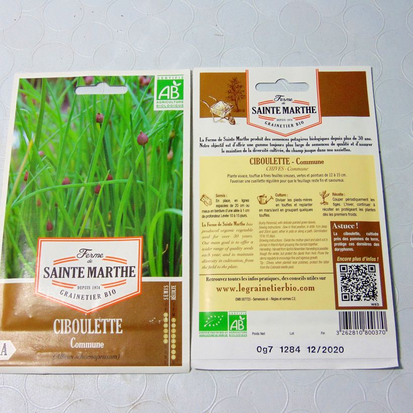 Example of Common Chives - Ferme de Sainte Marthe seeds per pack of 600 seeds specimen as delivered