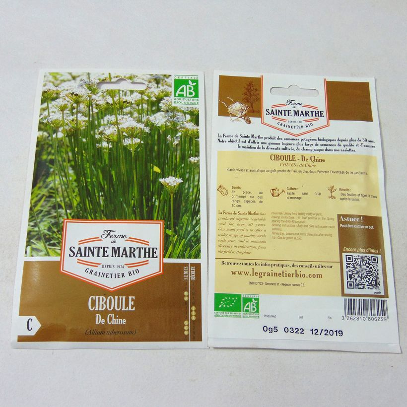 Example of Garlic Chives - Ferme de Ste Marthe Seeds per pack of 100 seeds specimen as delivered