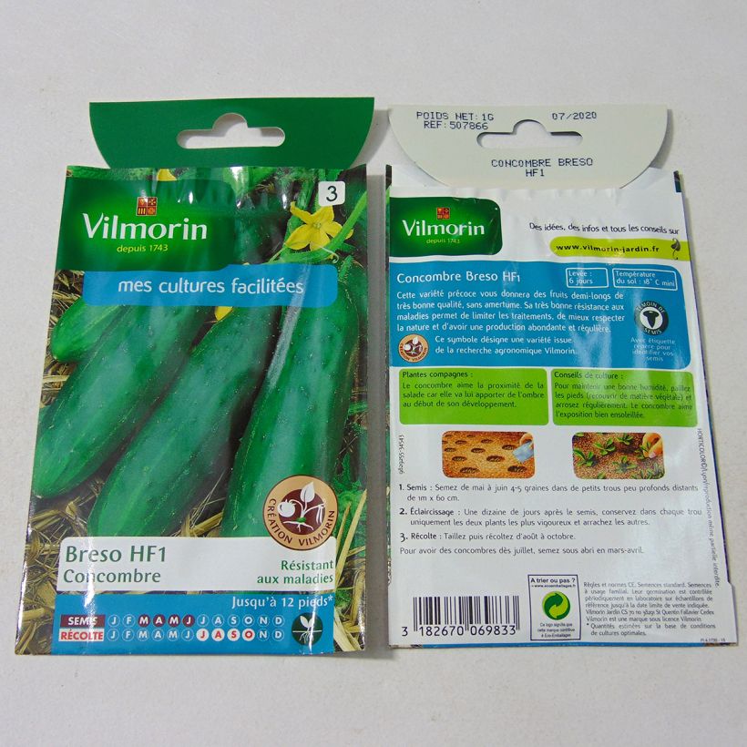 Example of Cucumber Breso F1 - Vilmorin Seeds specimen as delivered