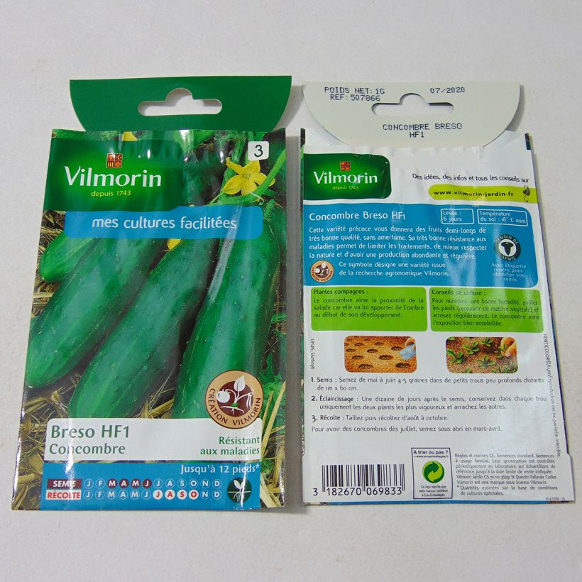 Example of Cucumber Breso F1 - Vilmorin Seeds per pack of 35 seeds (1g) specimen as delivered