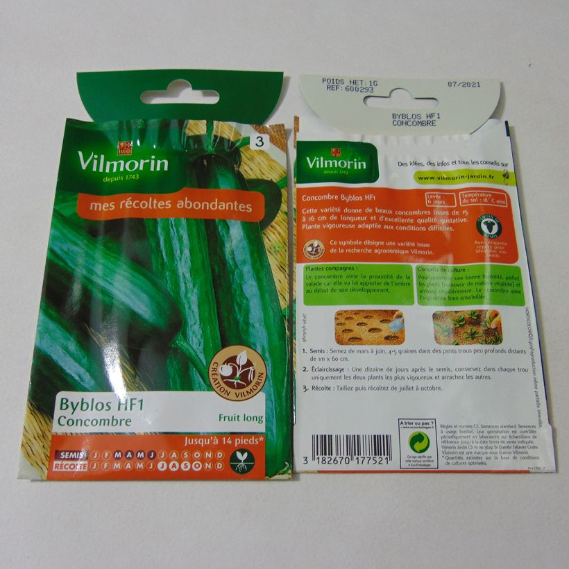 Example of Cucumber Byblos - Cucumis sativus per pack of 35 seeds (1g) specimen as delivered