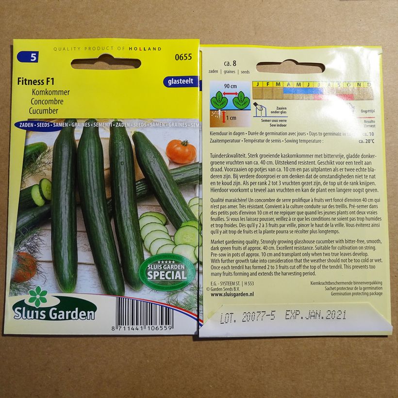 Example of Cucumber Fitness F1 - Cucumis sativus per pack of 8 seeds specimen as delivered