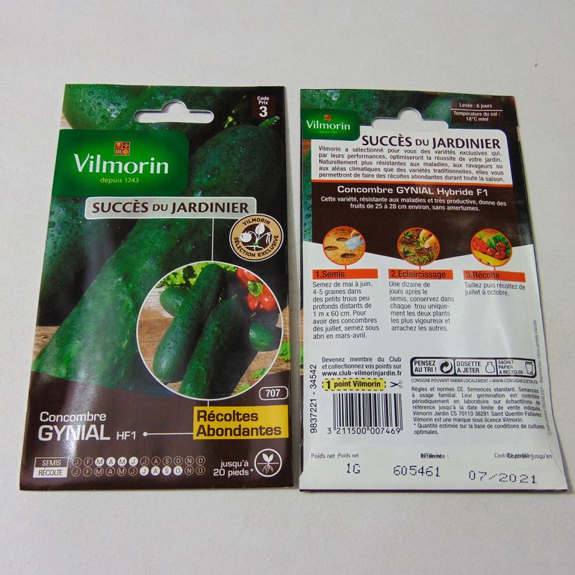 Example of Cucumber Gynial F1 - Vilmorin Seeds per pack of 35 seeds (1g) specimen as delivered