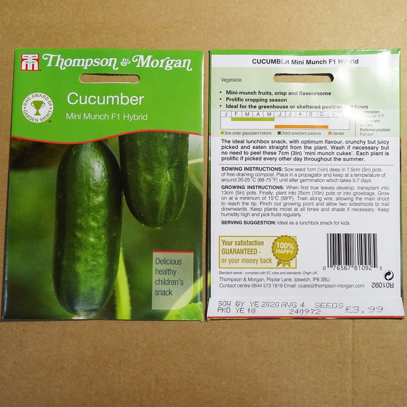 Example of Cucumber Mini Munch - Cucumis sativus per pack of 4 seeds specimen as delivered