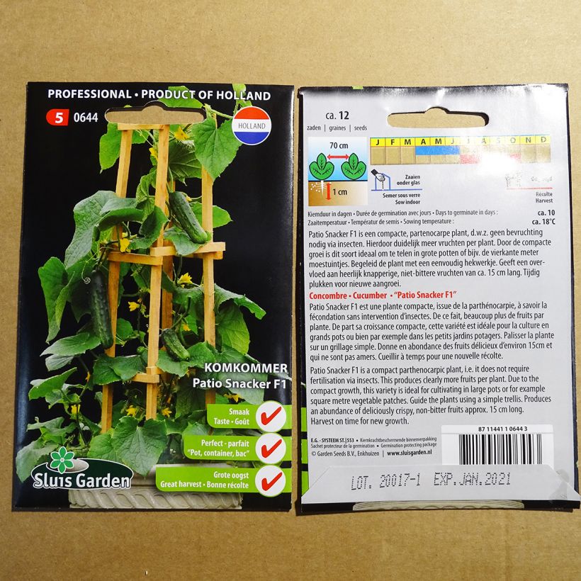 Example of Cucumber Patio Snacker F1 per pack of 12 seeds specimen as delivered