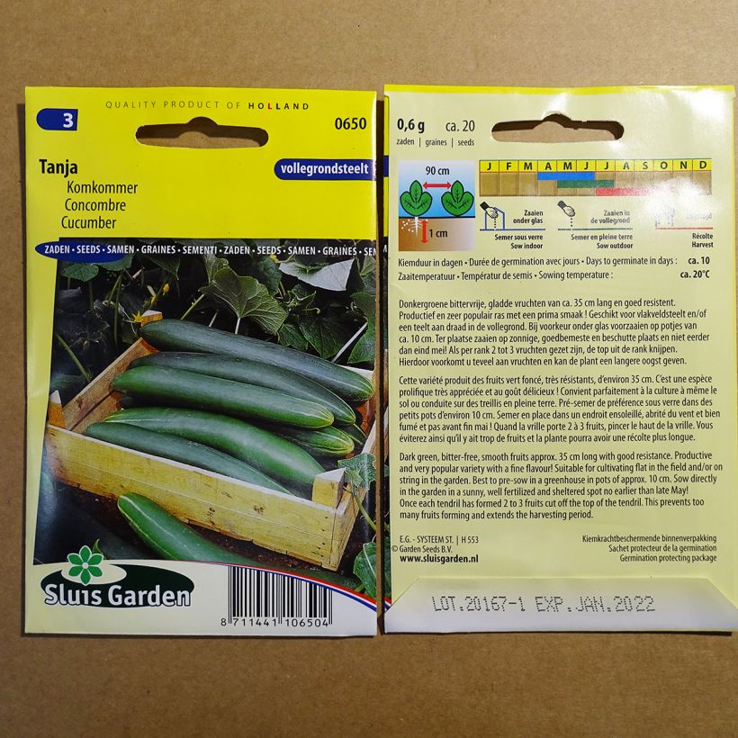 Example of Concombre Tanja - Cucumis sativus specimen as delivered