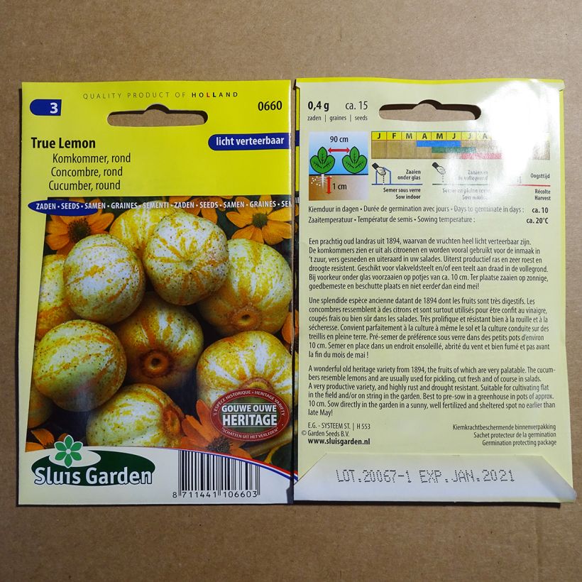 Example of Cucumber Lemon per pack of 15 seeds (0.4g) specimen as delivered