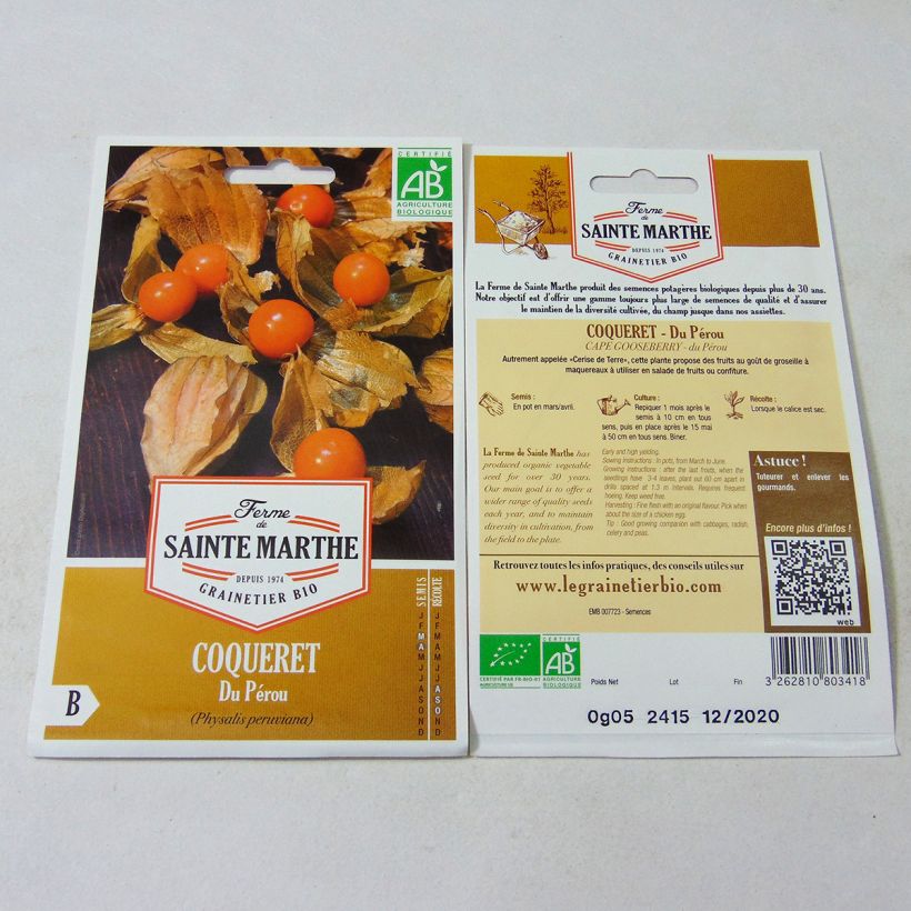 Example of Physalis edulis - Ferme de Sainte Marthe seeds per pack of 50 seeds specimen as delivered