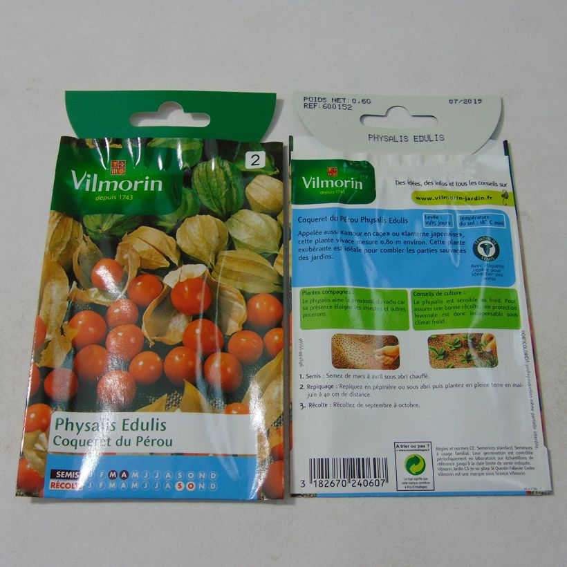 Example of Physalis edulis - Vilmorin seeds per 0.6 g seed pack specimen as delivered