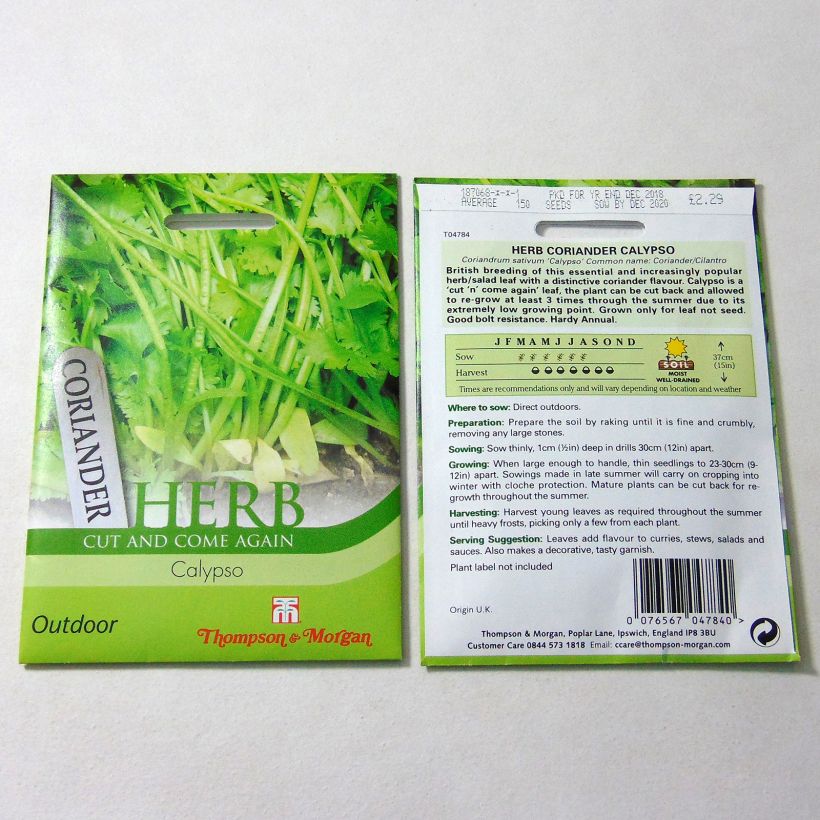 Example of Coriandrum sativum Calypso per pack of 150 seeds specimen as delivered