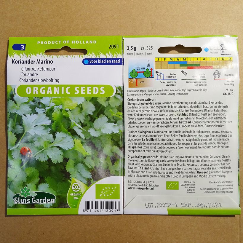Example of Coriandrum sativum Marino per pack of 325 seeds (2g) specimen as delivered