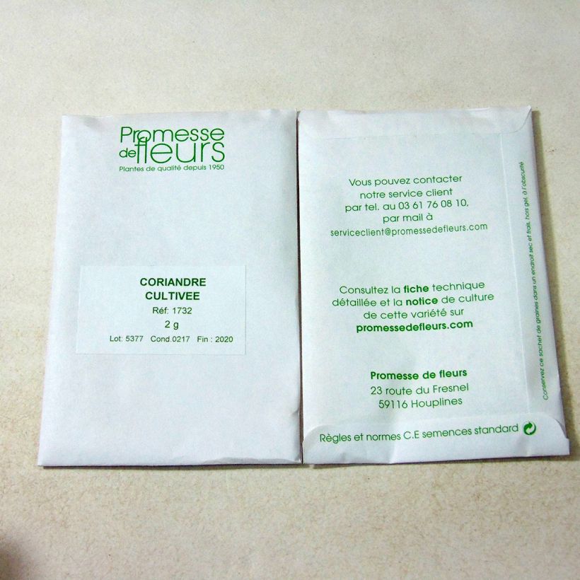 Example of Cultivated Coriander - Coriandrum sativum per pack of 120 seeds (2g) specimen as delivered