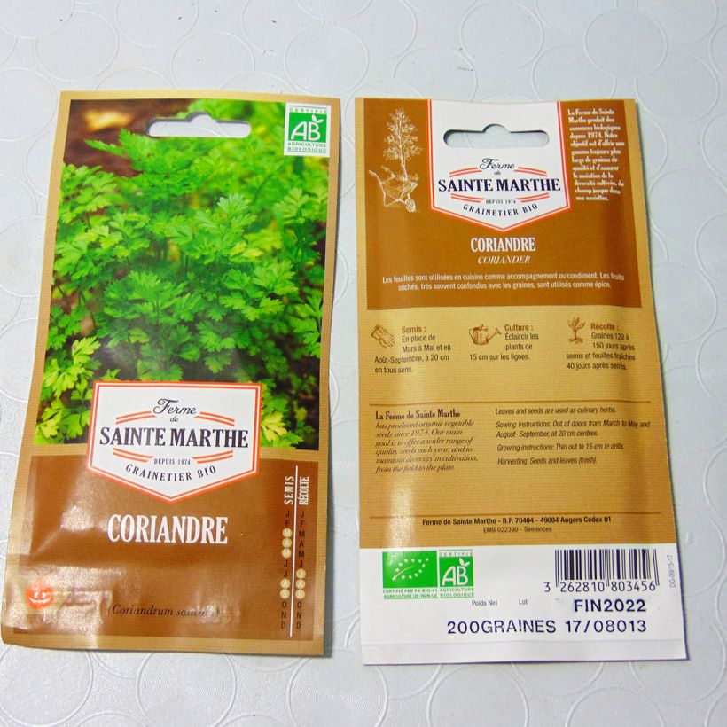 Example of Coriandrum sativum 'Saint Marthe's Farm' per pack of 80 seeds (1g) specimen as delivered