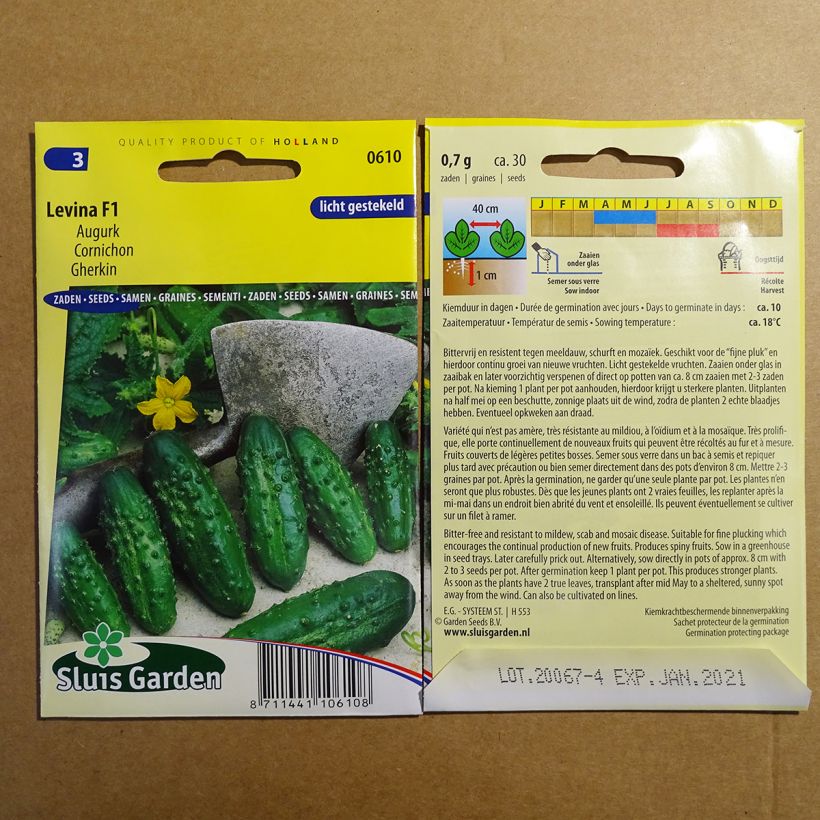 Example of Cucumber Levina F1 - Cucumis sativus per pack of 30 seeds specimen as delivered
