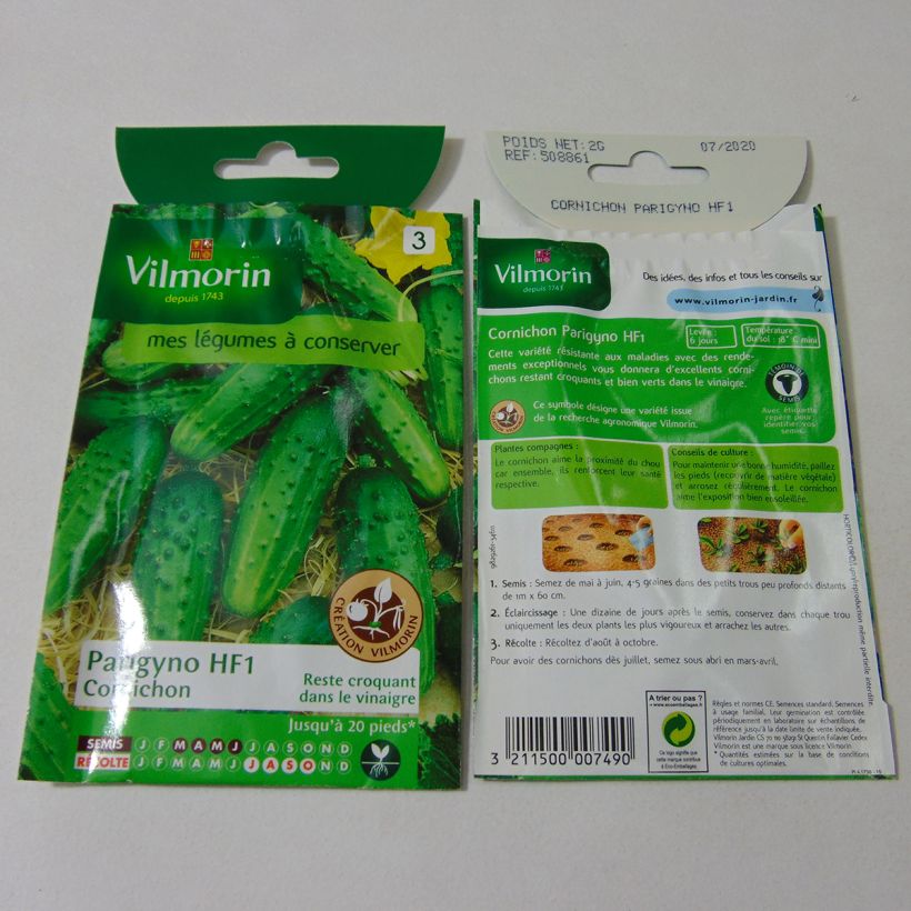 Example of Gherkin Parigyno HF1 - Vilmorin Seeds per pack of 50 seeds (2g) specimen as delivered