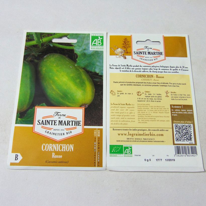 Example of Gherkin Russe - Ferme de Sainte Marthe Seeds per pack of 20 seeds specimen as delivered