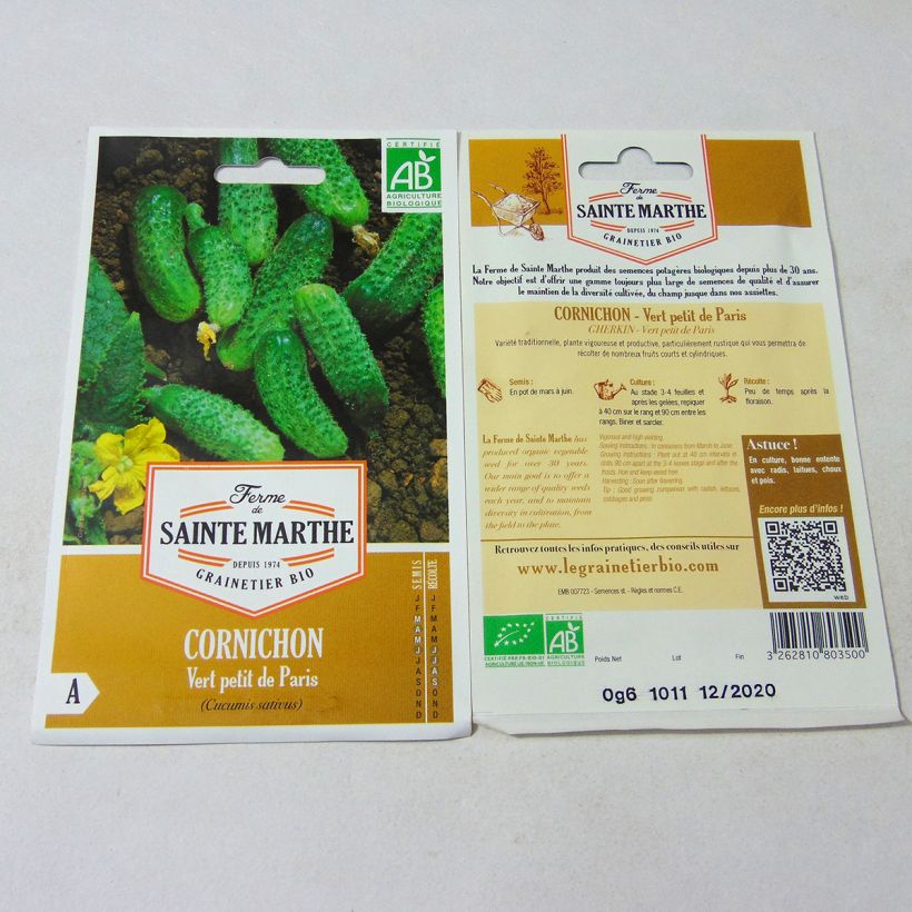 Example of Gherkin Parisian - Ferme de Sainte Marthe Seeds per pack of 20 seeds specimen as delivered