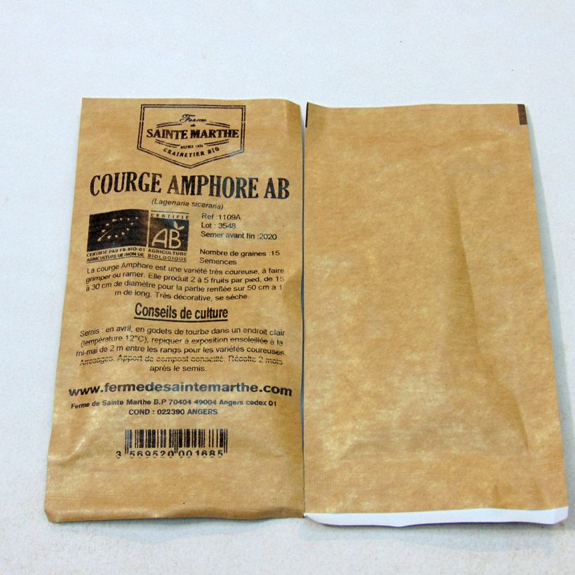 Example of Organic Amphore Calabash - Ferme de Sainte Marthe seeds per pack of 15 seeds (3g) specimen as delivered