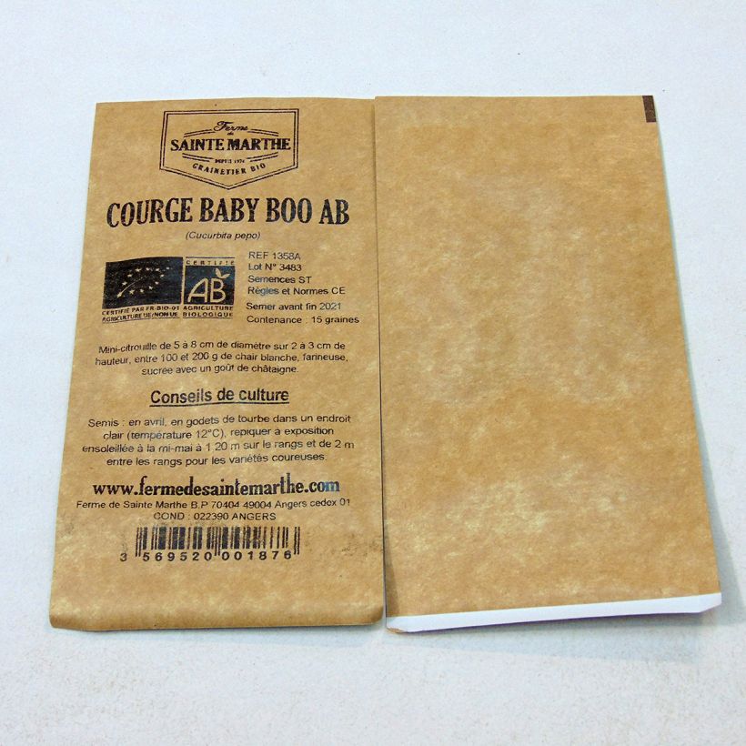 Example of Miniature Pumpkin Baby Boo - Ferme de Sainte Marthe Seeds per pack of 15 seeds (1g) specimen as delivered