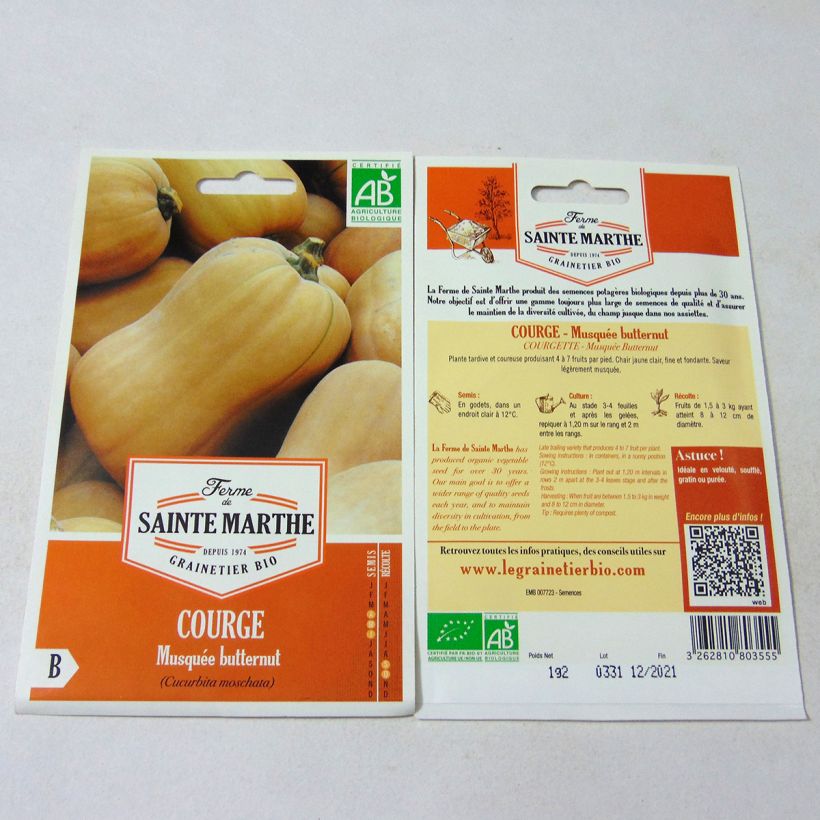 Example of Cucurbita moschata Ferme de Sainte Marthe organic seeds - Butternut squash per pack of 10 seeds (1.2g) specimen as delivered