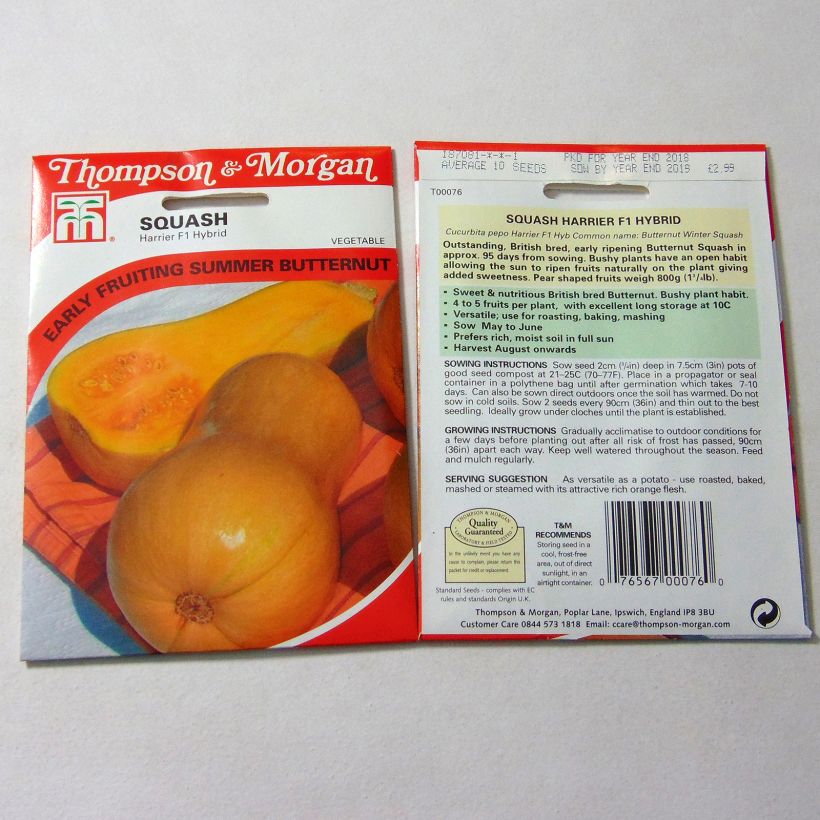Example of Squash Butternut Harrier F1 - Cucurbita moschata per pack of 10 seeds specimen as delivered